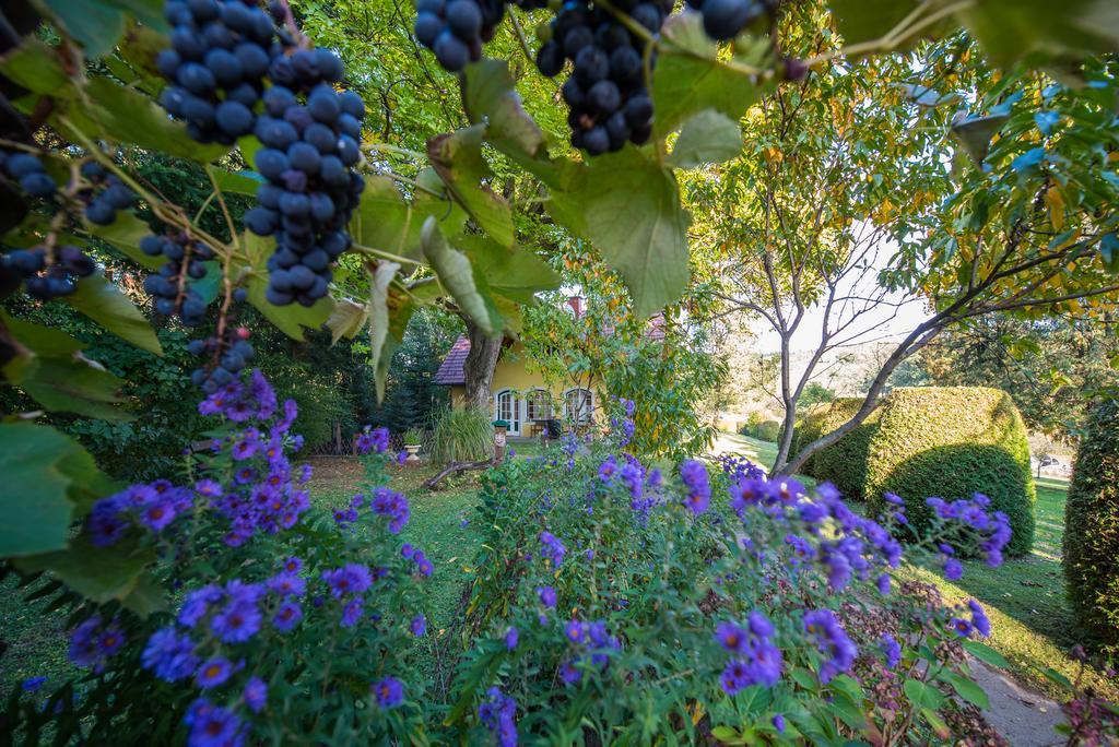 Villa Winemakers Escape à Gleisdorf Extérieur photo