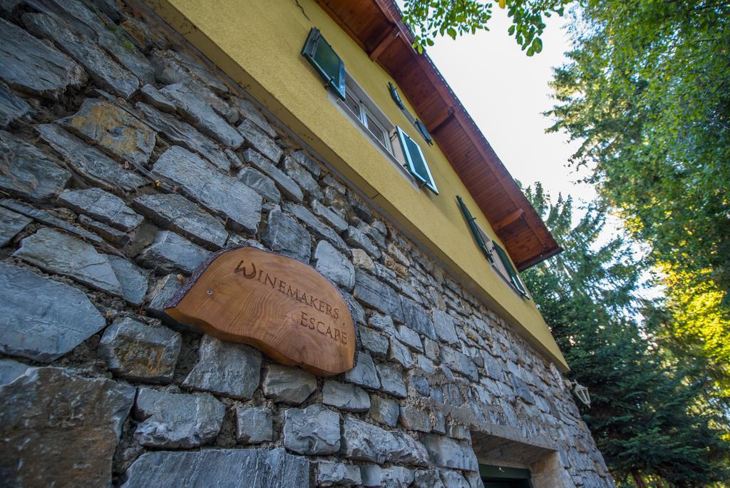Villa Winemakers Escape à Gleisdorf Extérieur photo